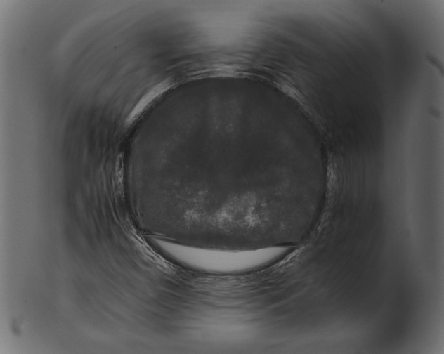 X0000100881450200807181248