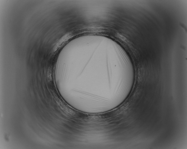 X0000100881451200807181248