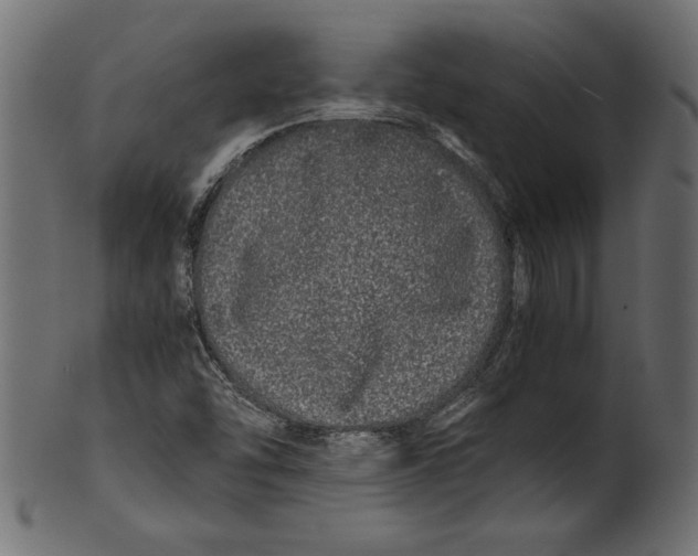 X0000100881454200807181248