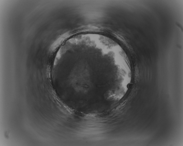 X0000100881455200807181248