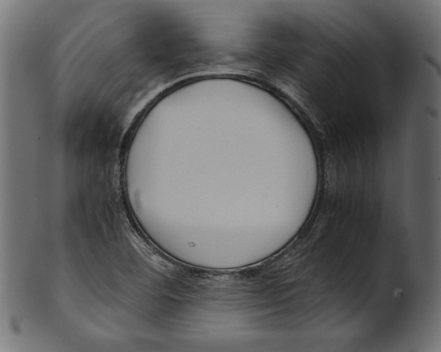 X0000100881460200807181248