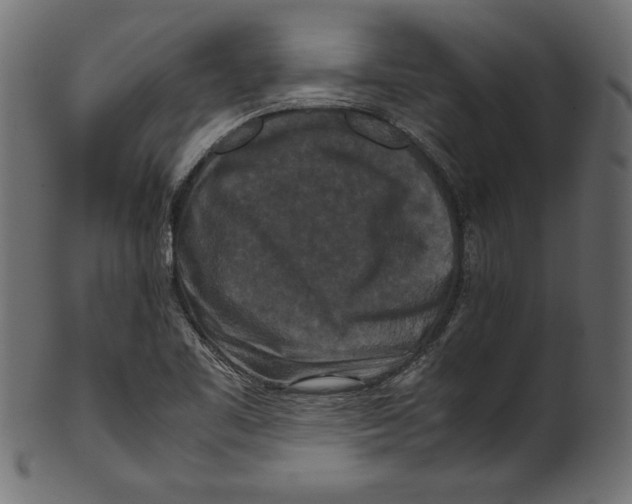 X0000100881461200807181248