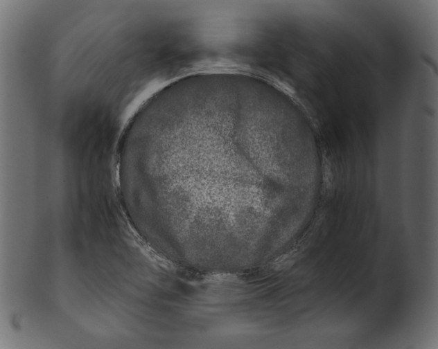 X0000100881462200807181248