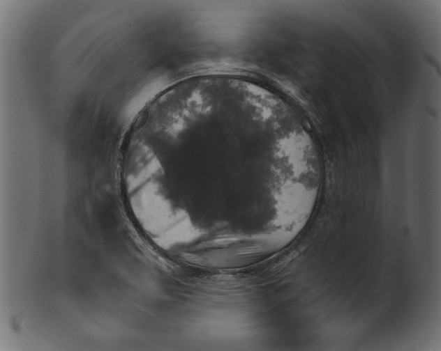 X0000100881463200807181248