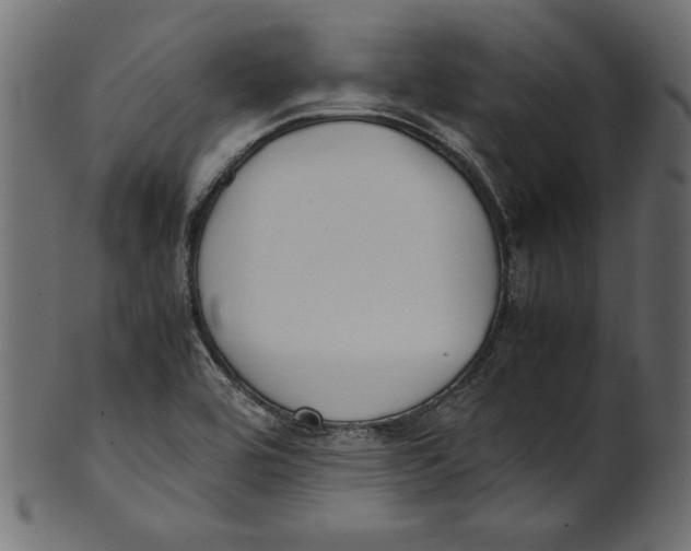 X0000100881464200807181248