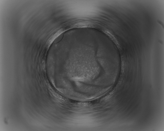 X0000100881465200807181248