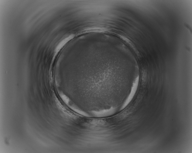 X0000100881466200807181248