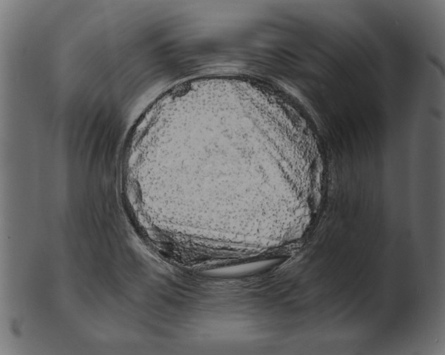 X0000100881467200807181248