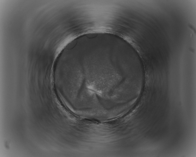 X0000100881469200807181248