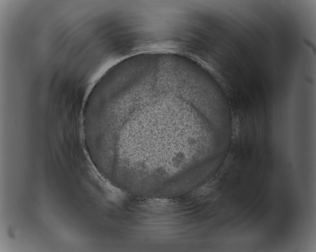 X0000100881470200807181248