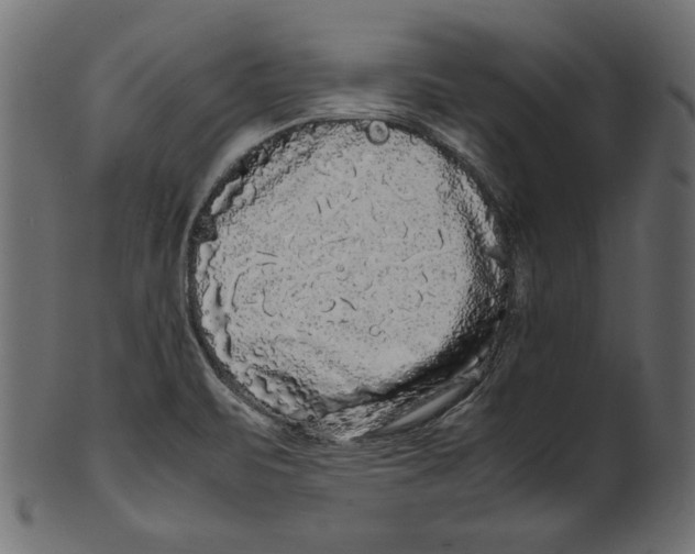 X0000100881471200807181248