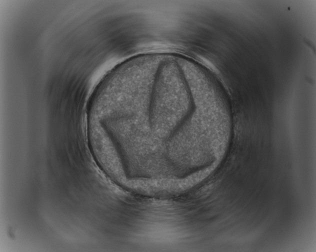 X0000100881472200807181248