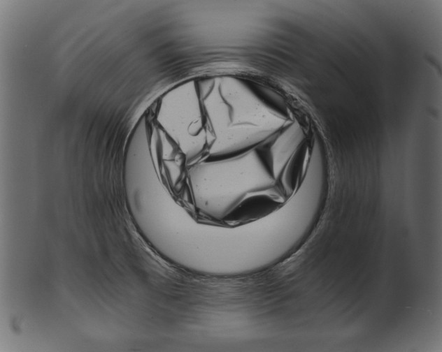 X0000100881473200807181248