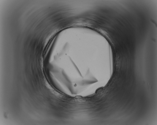 X0000100881476200807181248