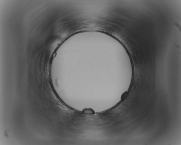 X0000100881477200807181248