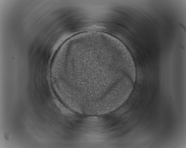 X0000100881478200807181248