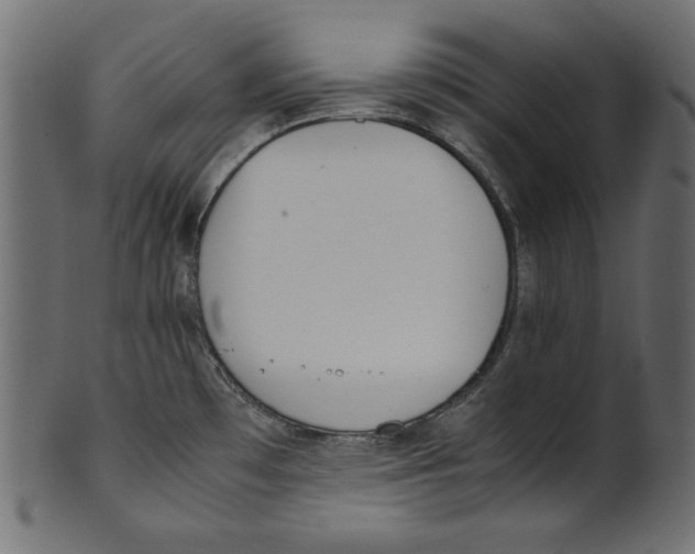 X0000100881481200807181248