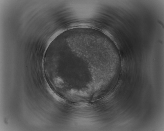 X0000100881482200807181248