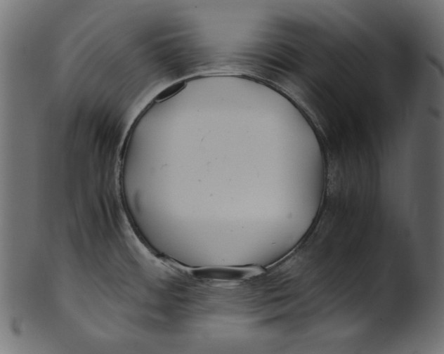 X0000100881484200807181248