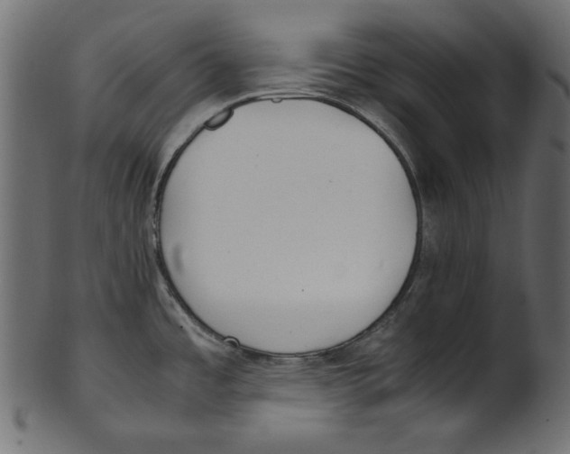 X0000100881485200807181248