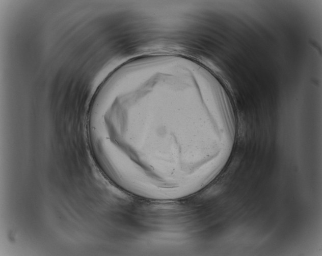 X0000100881486200807181248