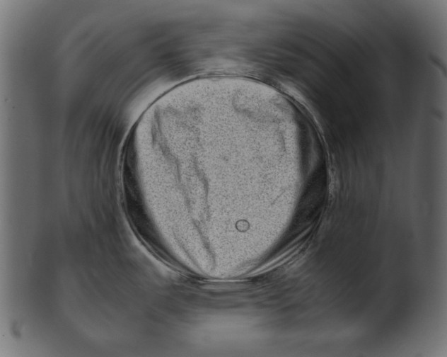 X0000100881487200807181248