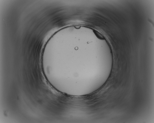 X0000100881488200807181247