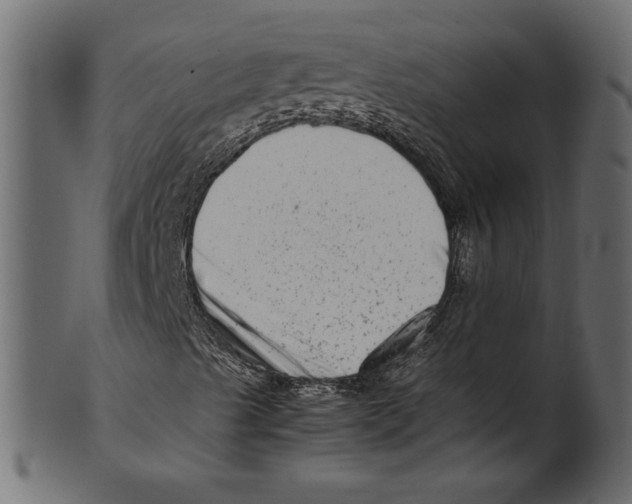 X0000100881489200807181247