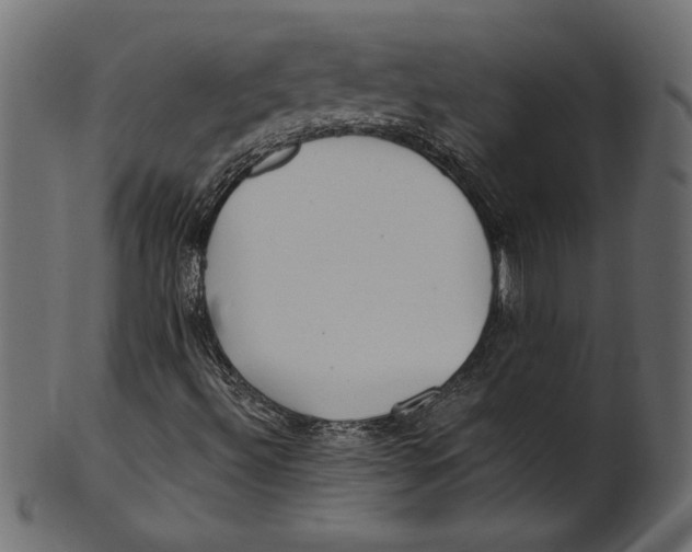 X0000100881492200807181247