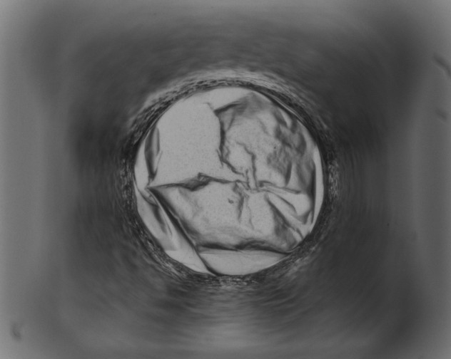 X0000100881494200807181247