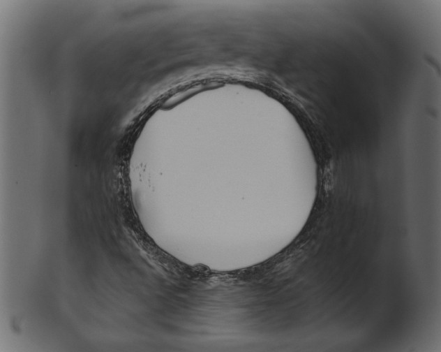 X0000100881496200807181247