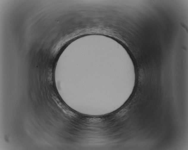 X0000100881499200807181247