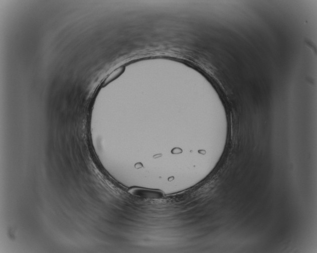 X0000100881500200807181247