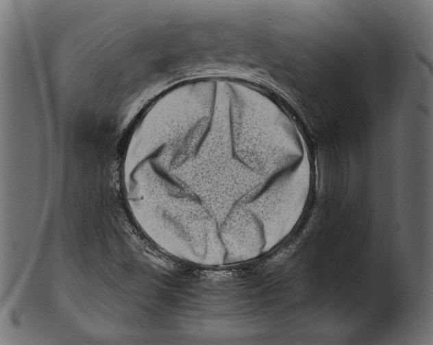 X0000100881501200807181247