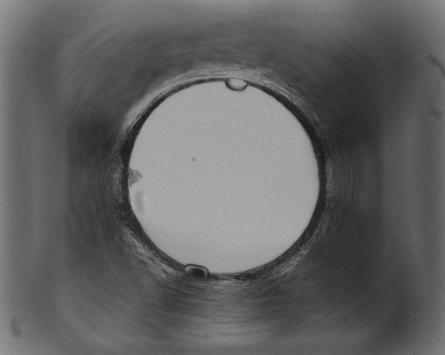 X0000100881502200807181247