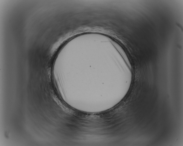 X0000100881503200807181247