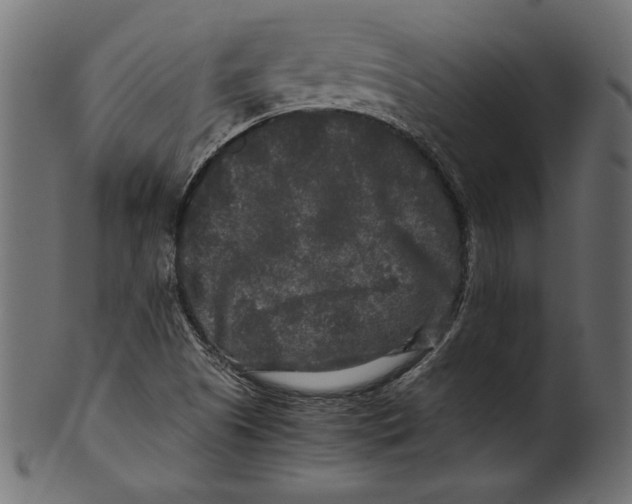 X0000100881505200807181247