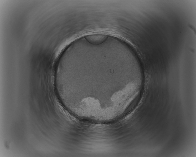 X0000100881506200807181247