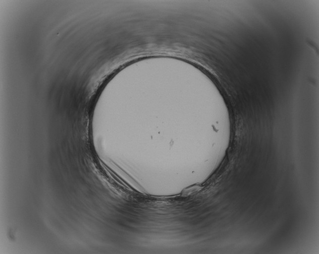 X0000100881507200807181247