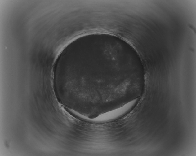 X0000100881508200807181247