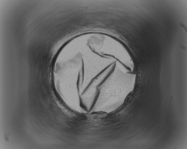 X0000100881511200807181247