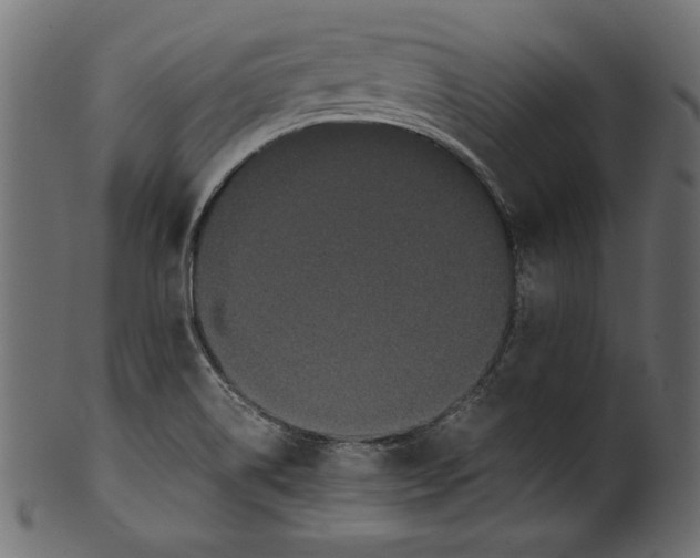 X0000100881514200807181247