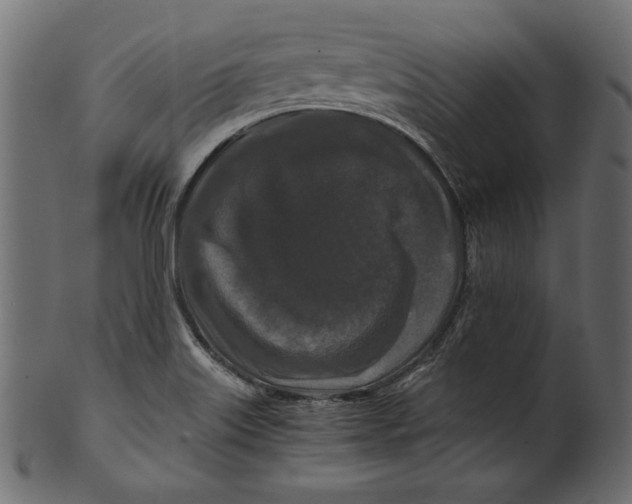 X0000100881515200807181247