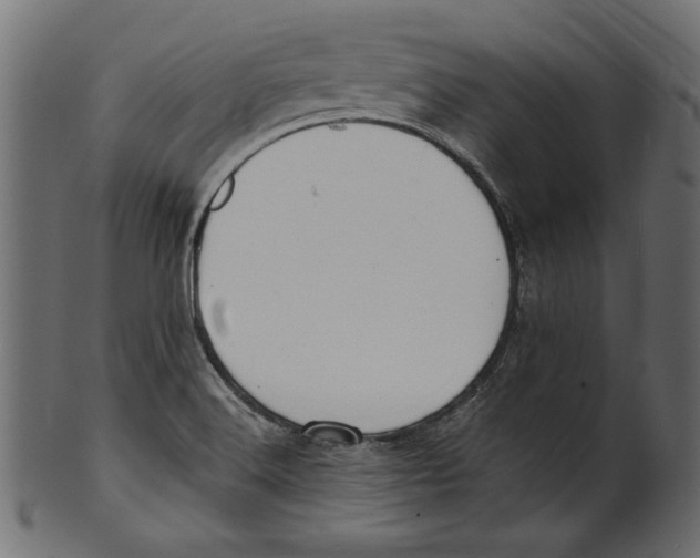 X0000100881516200807181247