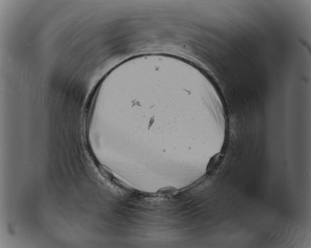 X0000100881517200807181247