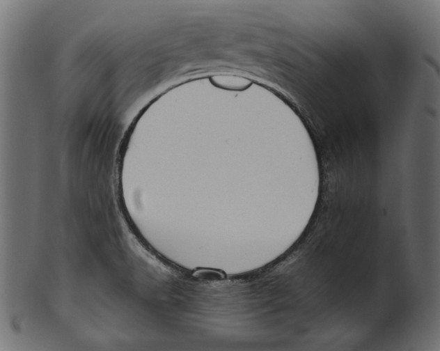 X0000100881518200807181247