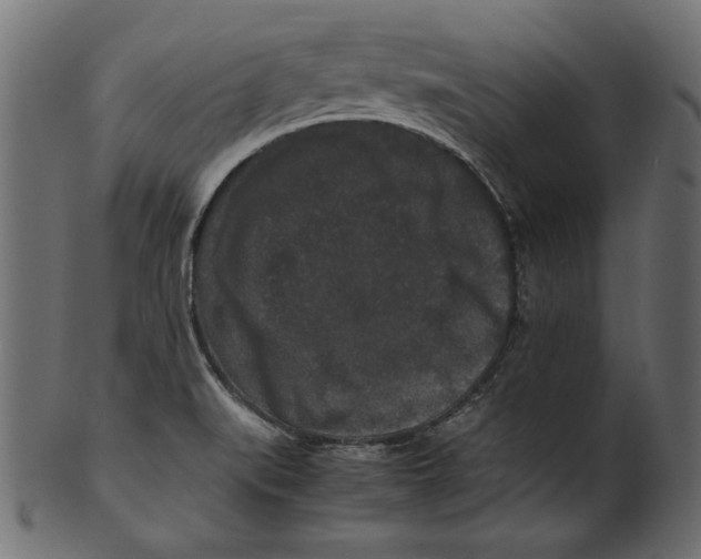 X0000100881519200807181247