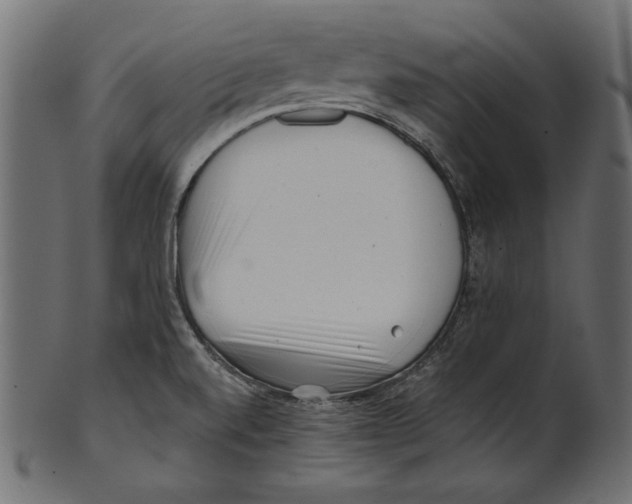 X0000100881520200807181247