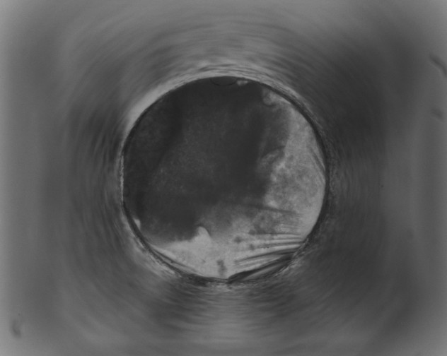 X0000100881522200807181247