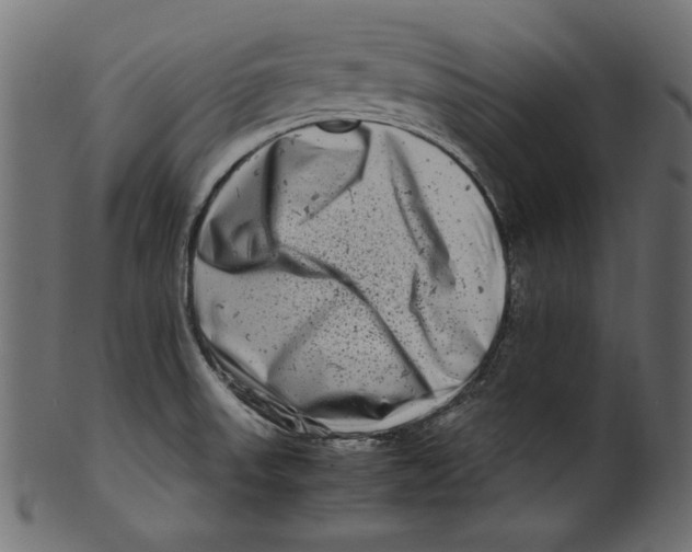 X0000100881523200807181247